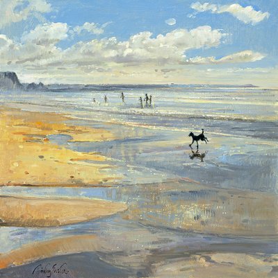 Der kleine Akrobat von Timothy Easton